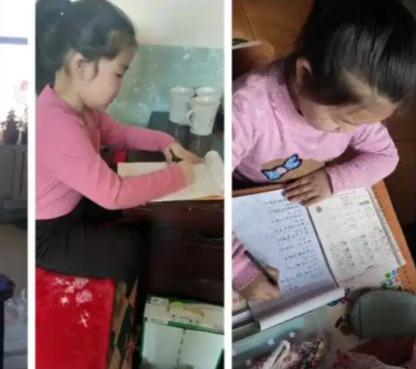 假期教育的特色让每个学生都能在假期中找到适合自己的成长方式 假期教育的特色让每个学生都能在假期中找到适合自己的成长方式